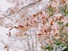 GW限定クーポン!!春の集中リセットフェイシャルケア60分(ヘッドスパ付♪)