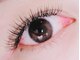 ミー(Me.)の写真/どの角度から見ても美しい仕上がりに☆一人一人に似合った目元は【Me.　】にお任せ♪