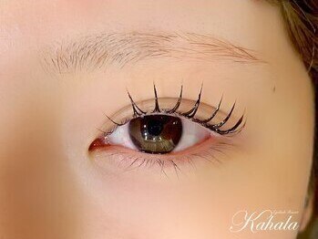 アイラッシュリゾート カハラ 新宿店(Kahala)の写真/【まつげパーマ+ブラックティント¥7700】人気急上昇中の"マスカラパーマ"導入店！パーマデザイン多数あり♪