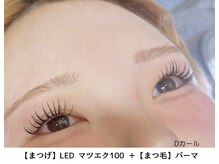 ヴィラアンドテラス(Villa×terrace)/LEDマツエク100→まつげパーマ