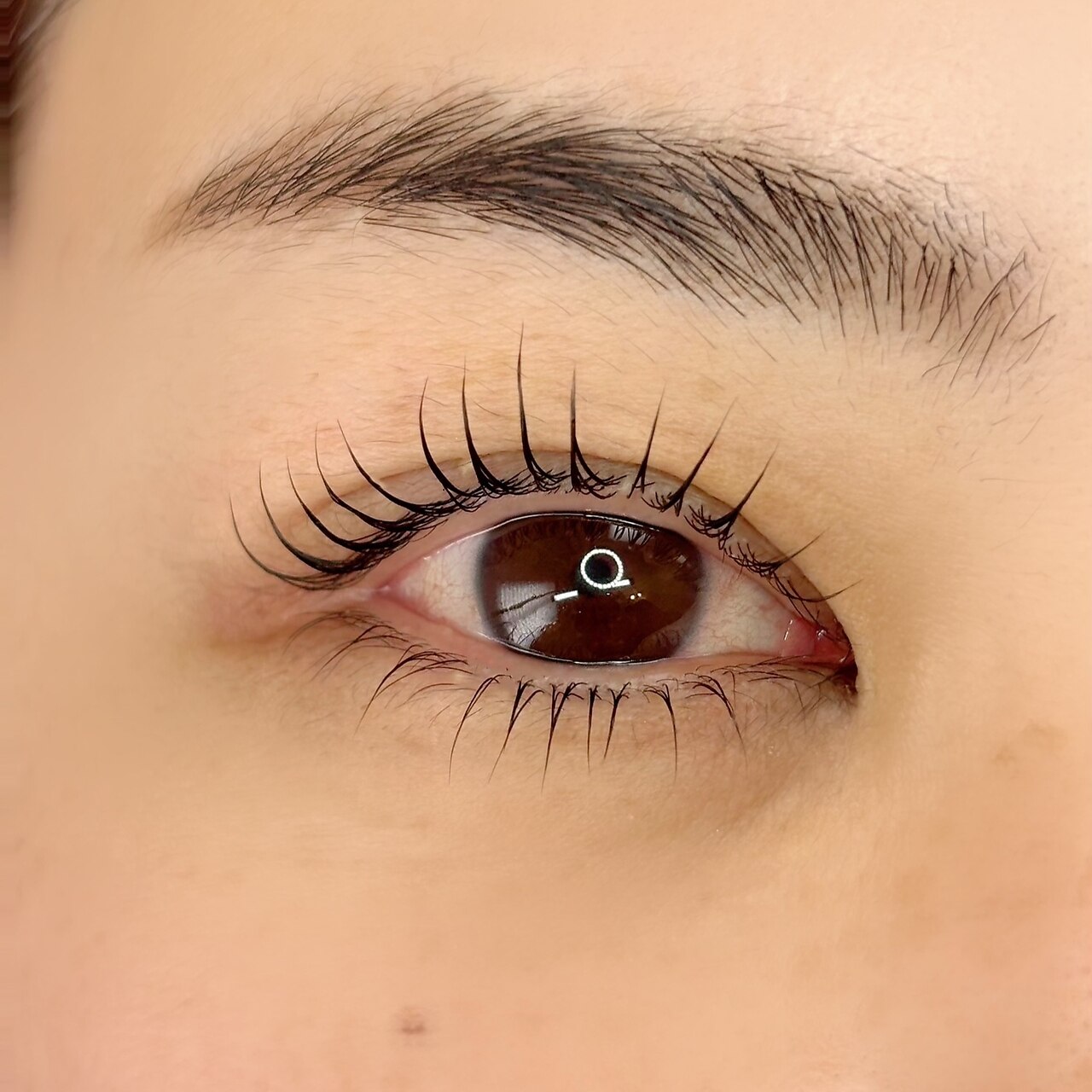 クーポン・メニュー｜ルナ アンド ツミキ(Luna & tsumiki