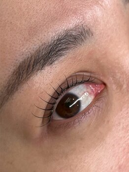 ティディーネスト(Tidynest)/まつげパーマ