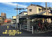 ダリア(Dahlia)/道案内【4】