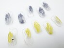 ざっくり塗りかけアート