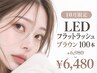 【10月限定】LEDロフラットラッシュブラウン100本¥6480