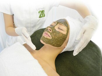 マロー(Mallow)/2Bバイオトリートメント