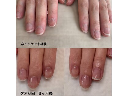 ニマ(nima)の写真