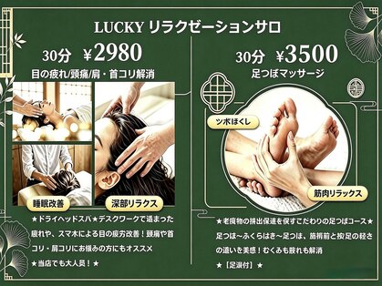 ラッキー(Lucky)の写真
