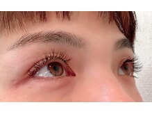 アオ(Ao)/【フラットラッシュ220本】