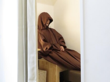 モンステラの写真