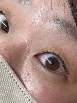 ティディーネスト(Tidynest)/まつげパーマ