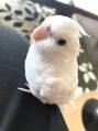 エルマ(eluma.) 私の小さな相棒(^^)
