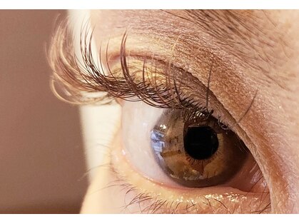 メイユール(meilleurs)の写真