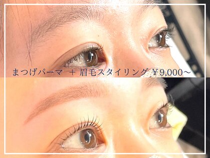 リベロ(libero)の写真