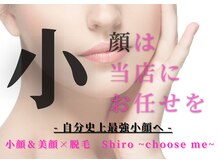 シロ チューズミー(Shiro choose me)