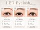 グラマラス アンジェアイ フレスポ富沢店(glamourous×ange eye)の写真