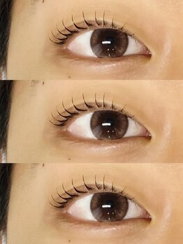 アイラッシュ シェリ(cheri)/ラッシュリフト