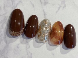 べっこう/ワンカラー/秋/冬