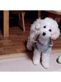 リリアック(Re:Lilyac) 四谷三丁目 リリアック