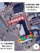 ダリア(Dahlia)/【道に迷われた際は】