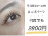 【平日9～13時限定】まつげパーマ　¥2800