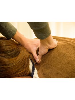 首・肩のつらさを改善したい