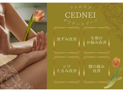 セドニー 代官山(CEDNEI)の写真