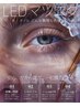 【６月限定】-Flat Lash 付け放題LED-¥9500→¥8500※本数無制限