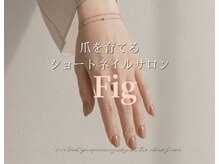 フィグ(Fig)