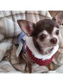 みゆう整体院&nbsp;うちの愛犬、もんじゃです女の子です