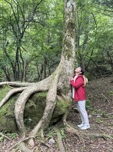 アイニケ(inike) 甲斐 