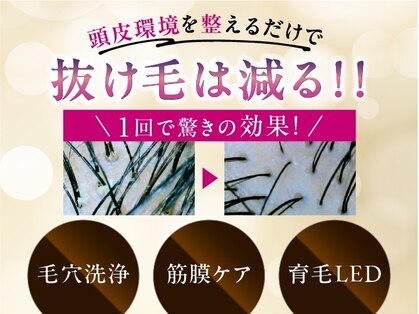 イーズ/リバイタ 梅田本店の写真