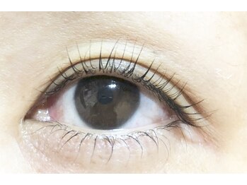 ナチュラリス(Naturalis)/