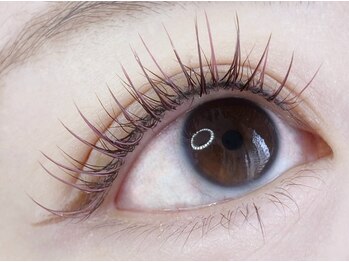 クラリスバイネオ 武蔵小杉(Claris by neo)/カラーフラットラッシュ