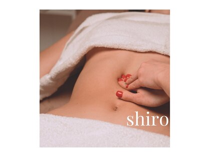 シロ(shiro)の写真