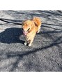 サロン ザ カフー(salon the KAFUU)&nbsp;わんちゃん大好きです＊私の愛犬です(^^)