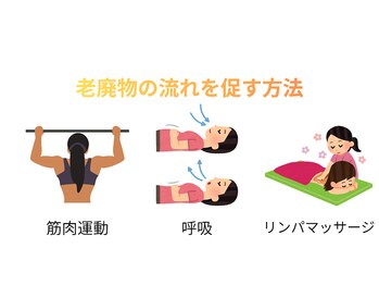 ひぺりかむ/リンパドレナージュって？