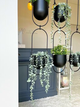 ウイ(u'ii)/入り口から癒しの空間