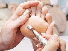 プリナチュール 仙台店