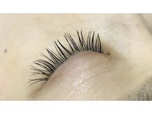 シルフ 石橋店(Sylph)/カシミヤセーブル