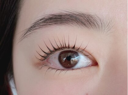 ニコ(nico)の写真