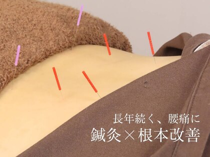 一樹鍼灸院の写真