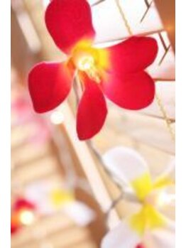 アクアヴェール(AQUA VEIL)/内観