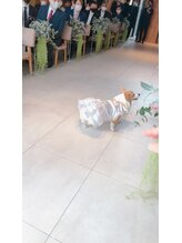 サロンドフィル(Salon de fil)/リングドッグ