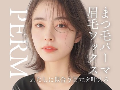 スペリンダ(Splendor)の写真