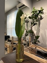 セバス 赤坂見附(SEBAS)/春