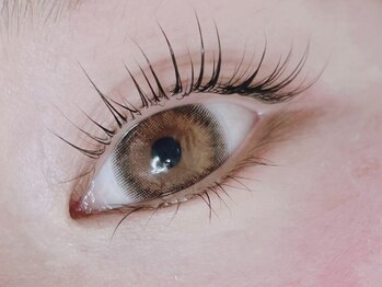 comoda eye 神戸三宮 マツエク / まつげパーマ / LED / パリジェンヌ【3/1OPEN予定】/軽量×高持続◎フラットラッシュ