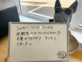 ヴィシア(VIXIA)/