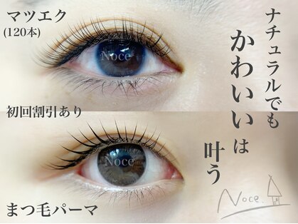 ノーチェ(Noce)の写真