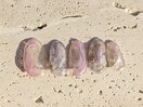 【6月】ニュアンス定額♪